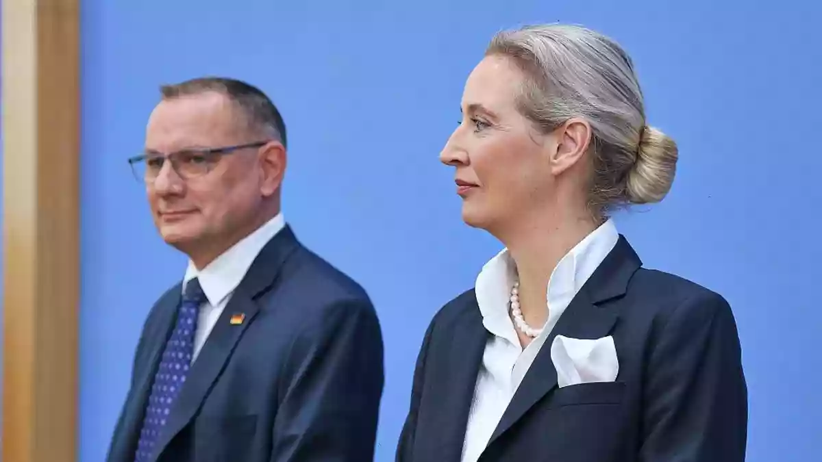 Forsa: AfD legt zu - Union wieder bei 20 Prozent