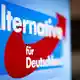 Unbekannte haben E-Mail-Konten der AfD angegriffen - Bild: Christoph Reichwein/dpa