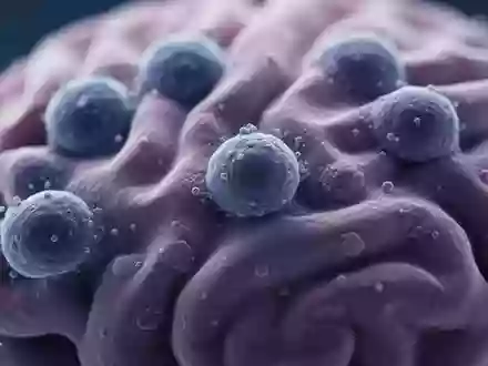 Mikroskopische Aufnahme von biologischem Hirngewebe mit Fokus auf zelluläre Strukturen in bläulichen Farbtönen - Foto: über boerse-global.de