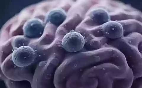 Mikroskopische Aufnahme von biologischem Hirngewebe mit Fokus auf zelluläre Strukturen in bläulichen Farbtönen - Foto: über boerse-global.de