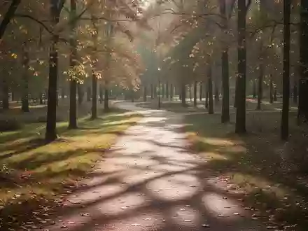 Ein ruhiger, sonnendurchfluteter Parkweg zwischen herbstlichen Bäumen als Symbol für einen gesunden Lebensstil. - Foto: über boerse-global.de