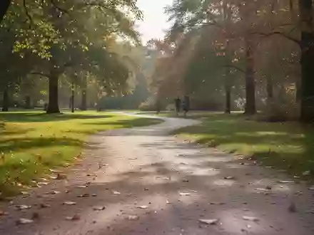 Ein von der Sonne beleuchteter Kiesweg in einem Park, der zu körperlicher Aktivität und Bewegung einlädt. - Foto: über boerse-global.de