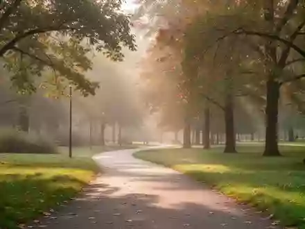 Ein sonniger Spazierweg in einem herbstlichen Park, der zu Bewegung und Mobilität im Freien einlädt. - Foto: über boerse-global.de