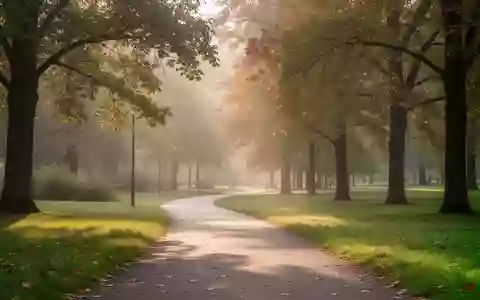Ein sonniger Spazierweg in einem herbstlichen Park, der zu Bewegung und Mobilität im Freien einlädt. - Foto: über boerse-global.de
