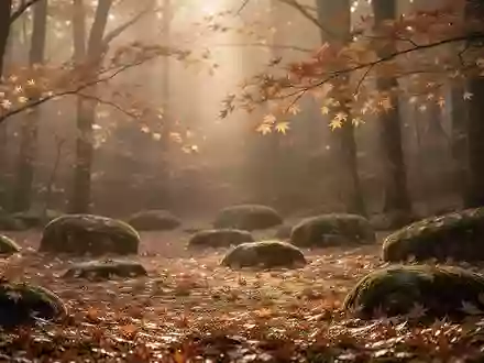 Ruhige Herbstwaldlandschaft mit goldenem Licht, fallendem Laub und moosbewachsenen Steinen als Symbol für meditative Bewegung. - Foto: über boerse-global.de