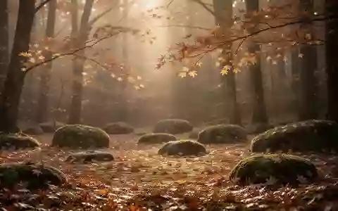 Ruhige Herbstwaldlandschaft mit goldenem Licht, fallendem Laub und moosbewachsenen Steinen als Symbol für meditative Bewegung. - Foto: über boerse-global.de