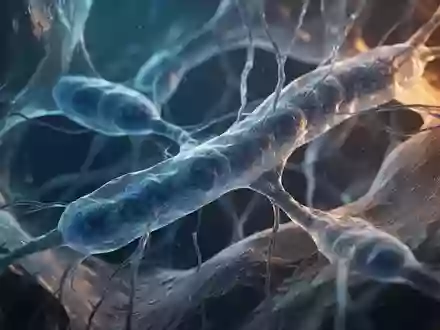 Mikroskopische Darstellung von mitochondrialen Strukturen in einer Muskelzelle als Symbol für metabolische Prozesse. - Foto: über boerse-global.de