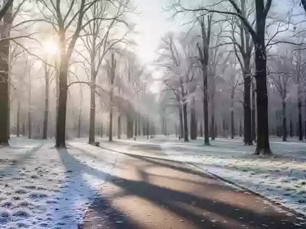 Ein verschneiter Parkweg in einem Wald bei hellem Wintersonnenlicht am Vormittag. - Foto: über boerse-global.de