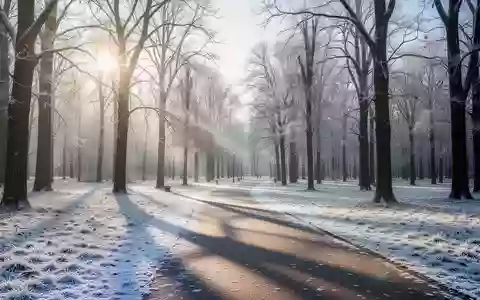 Ein verschneiter Parkweg in einem Wald bei hellem Wintersonnenlicht am Vormittag. - Foto: über boerse-global.de