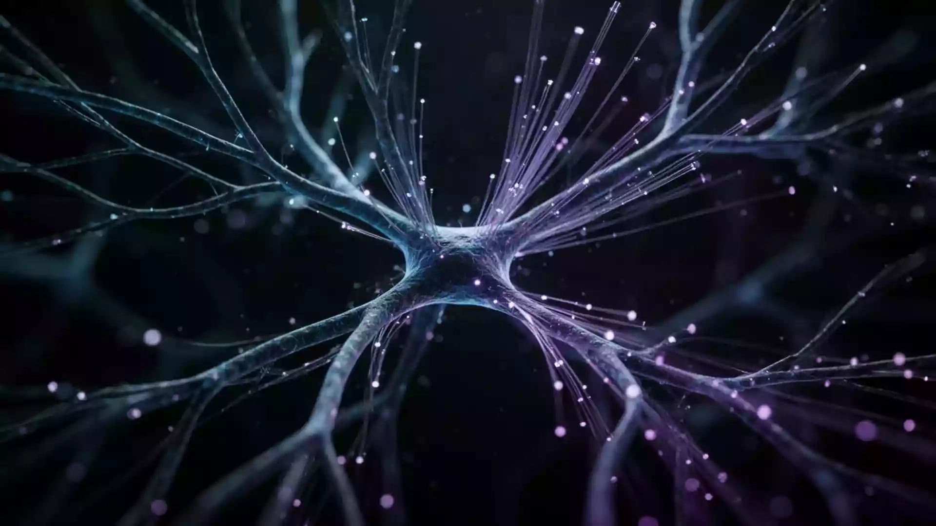 Insomnie: Neue Analyse untersucht strukturelle und funktionelle Hirnanomalien
