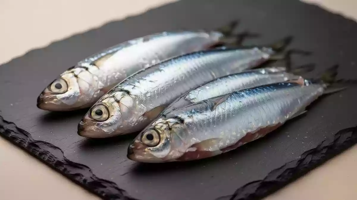 Fischöl bei Alzheimer: Studien finden keinen kognitiven Nutzen
