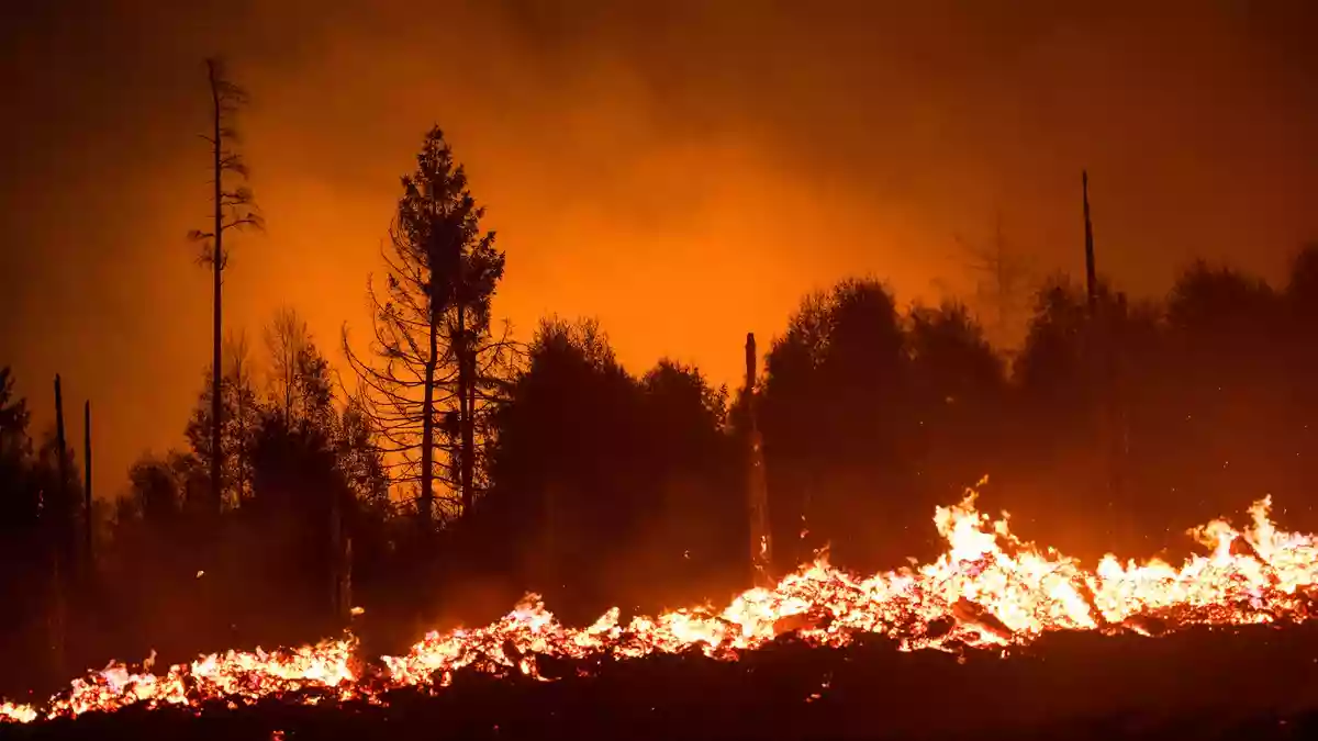 Flammen lodern in einem Waldstück der Saalfelder Höhe. (Archivbild) - Bild: Daniel Vogl/dpa/dpa-tmn