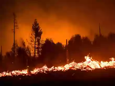 Flammen lodern in einem Waldstück der Saalfelder Höhe. (Archivbild) - Foto: Daniel Vogl/dpa/dpa-tmn