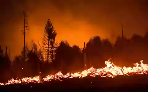 Flammen lodern in einem Waldstück der Saalfelder Höhe. (Archivbild) - Foto: Daniel Vogl/dpa/dpa-tmn