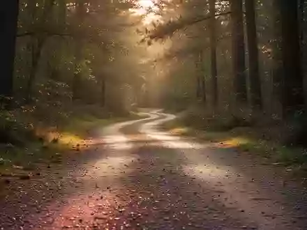 Ein leerer, geschwungener Waldweg bei Sonnenlicht, der Bewegung und Aktivität in der Natur symbolisiert. - Foto: über boerse-global.de