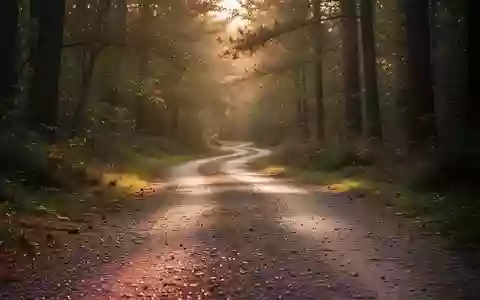 Ein leerer, geschwungener Waldweg bei Sonnenlicht, der Bewegung und Aktivität in der Natur symbolisiert. - Foto: über boerse-global.de