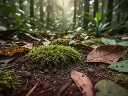 Nahaufnahme eines vielfältigen Ökosystems auf einem Waldboden mit Moos und organischen Strukturen als Symbol für Biodiversität. - Foto: über boerse-global.de