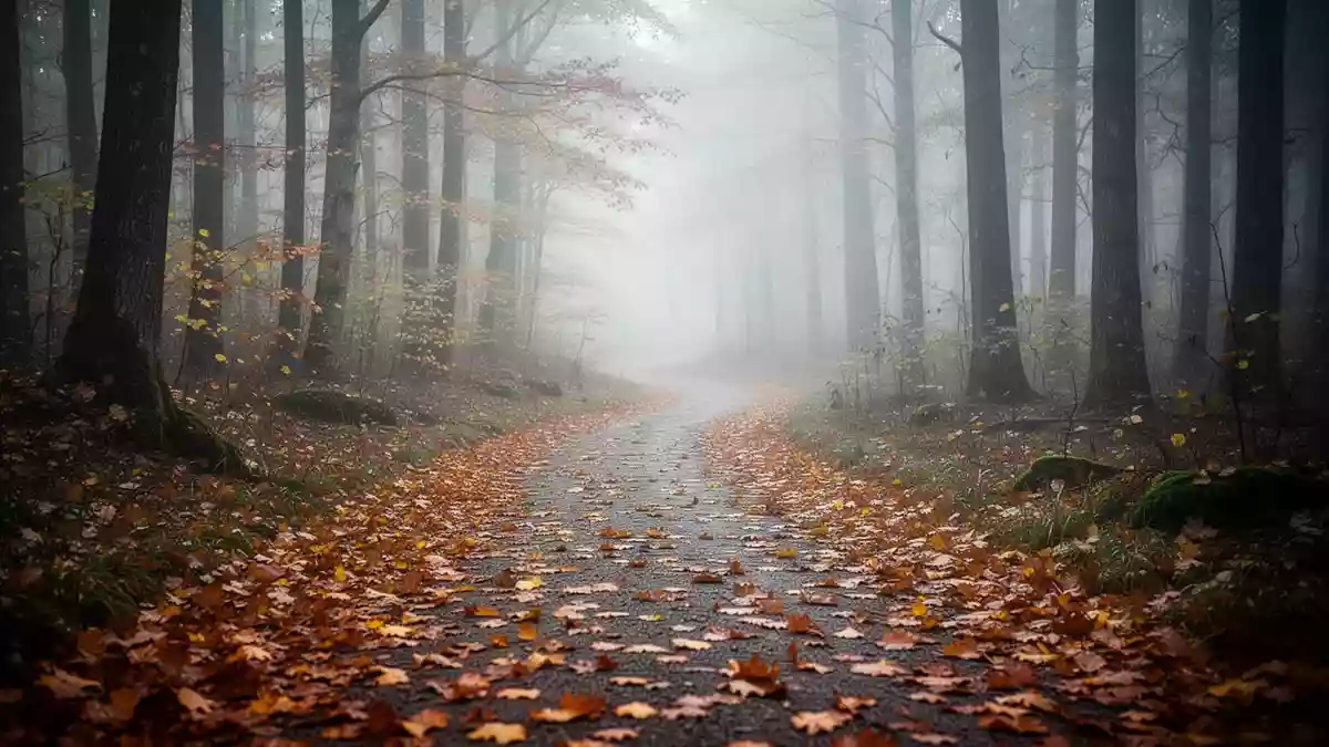 Herbstliche Gelenk- und Rückenschmerzen: Warum Bewegung helfen kann