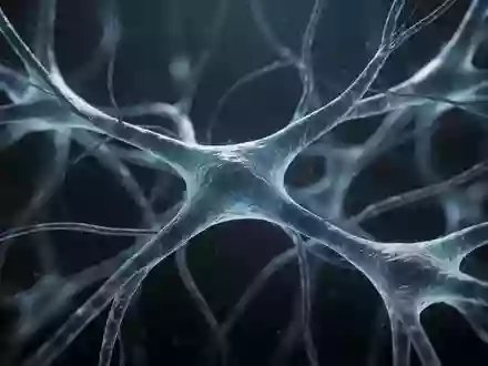 Abstrakte Darstellung biologischer Signalwege und neuronaler Strukturen in einer dunklen, organischen Umgebung. - Foto: über boerse-global.de