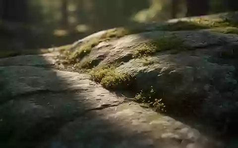 Strukturierte Naturlandschaft mit Stein und Moos als Symbol für die komplexe Darm-Hirn-Interaktion. - Foto: über boerse-global.de