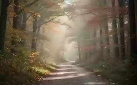Ein ruhiger, von Sonnenlicht durchfluteter Waldpfad im Herbst, der für geistige und körperliche Aktivität steht. - Foto: über boerse-global.de