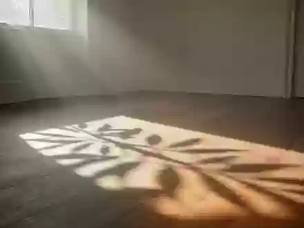 Ein sonnendurchfluteter, minimalistischer Raum mit sanften Schatten von Blättern auf einem Holzboden. - Foto: über boerse-global.de
