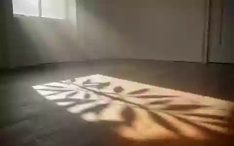 Ein sonnendurchfluteter, minimalistischer Raum mit sanften Schatten von Blättern auf einem Holzboden. - Foto: über boerse-global.de