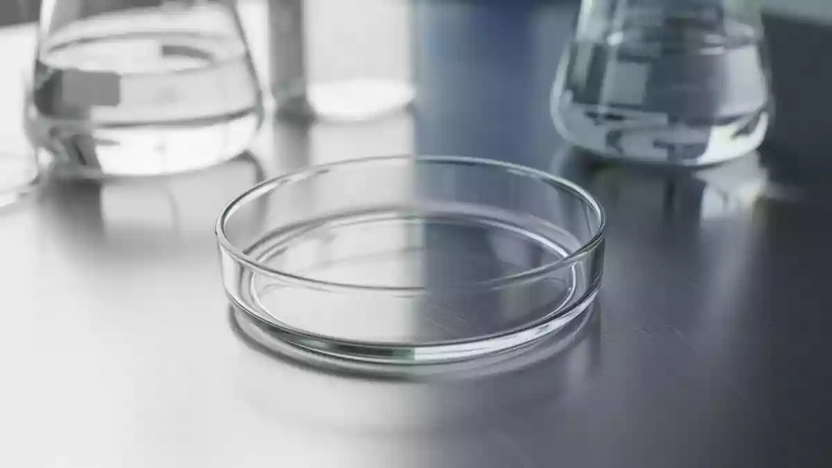 Curcumin und Vitamin D: Laborstudie zeigt Effekte auf Immunzellen