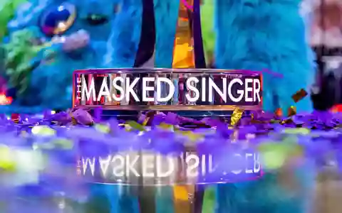 In der neuen Staffel «The Masked Singer» konnte sich Vincent Gross den Titel sichern. - Foto: Rolf Vennenbernd/dpa