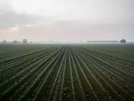 Ein weites, leeres landwirtschaftliches Feld in Südhessen unter einem bedeckten Himmel. - Foto: über boerse-global.de