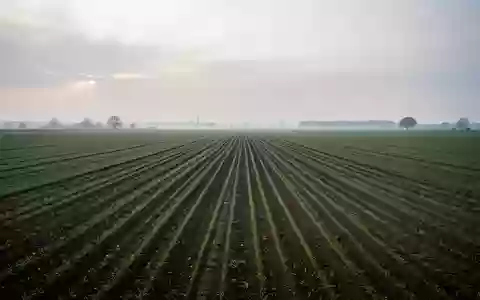 Ein weites, leeres landwirtschaftliches Feld in Südhessen unter einem bedeckten Himmel. - Foto: über boerse-global.de