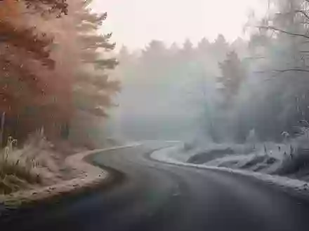 Eine neblige, von Frost überzogene Landstraße in einer herbstlichen Waldlandschaft. - Foto: über boerse-global.de