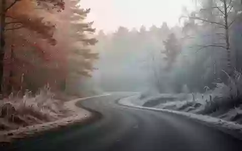 Eine neblige, von Frost überzogene Landstraße in einer herbstlichen Waldlandschaft. - Foto: über boerse-global.de