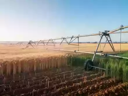 Ein weites Weizenfeld mit modernen Bewässerungssystemen unter blauem Himmel als Symbol für technologische Fortschritte. - Foto: über boerse-global.de