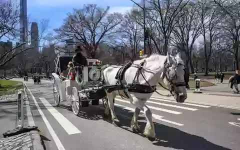 Die Kutschen rollen seit rund 150 Jahren durch den Central Park. (Archivbild) - Foto: Bianca Otero/ZUMA Press Wire/dpa