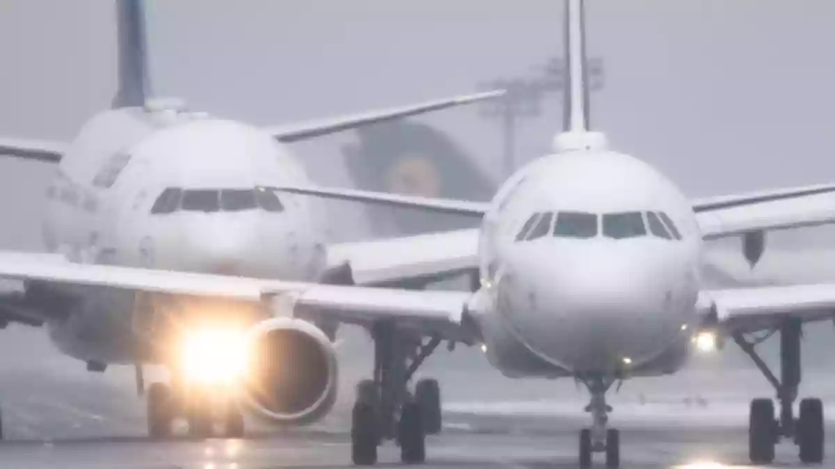 Bei der Lufthansa-Tochter City Airlines haben Kabinenbeschäftigte künftig die Wahl zwischen einer betrieblichen Altersvorsorge und einer Sofortauszahlung. (Symbolbild)  - Bild: Boris Roessler/dpa