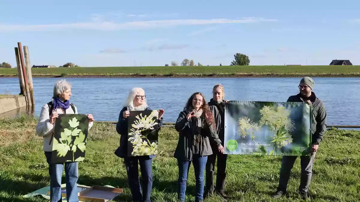 Die Loki Schmidt Stiftung wählt jedes Jahr eine Blume aus, die auf den Schutz der Natur aufmerksam machen soll.  - Bild: Christian Charisius/dpa