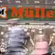 Drogeriemarktkette Müller beschäftigt rund 35.500 Menschen. (Archivbild) - Bild: Bernd Weißbrod/dpa