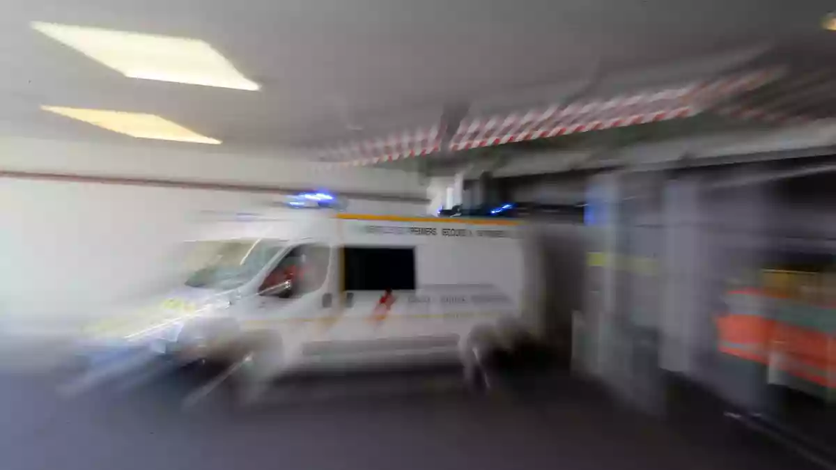 In Frankreich ist erstmals eine Shamonda-Virus-Infektion bei einem Menschen festgestellt worden (Archivbild). - Bild: David Vincent/AP/dpa