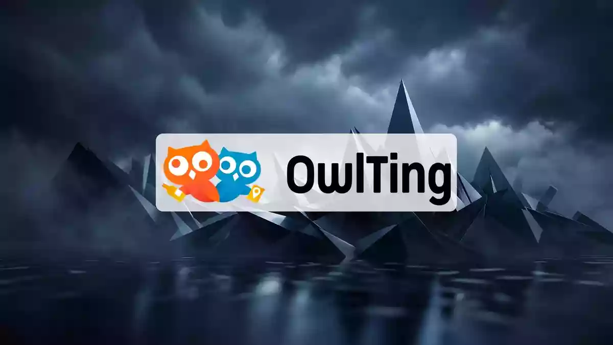 OwlTing-Aktie verliert 24 Prozent trotz starkem Zahlungswachstum
