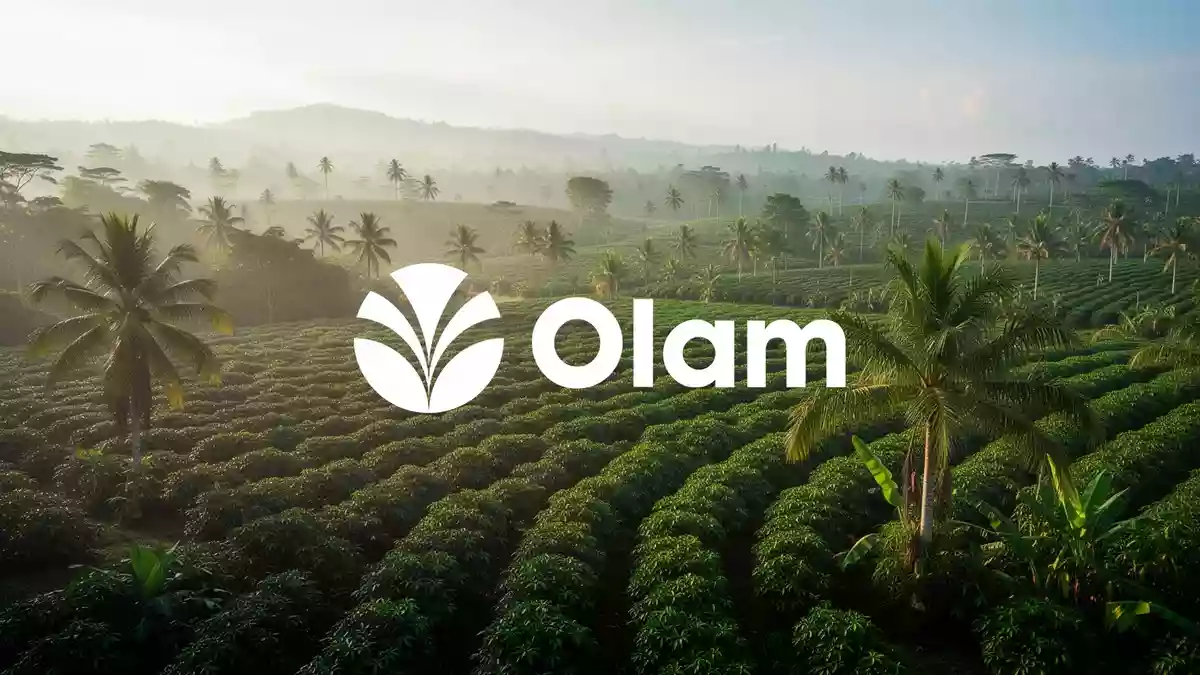 Olam Group: Keine eigenen Plantagen von Indonesiens Bränden betroffen