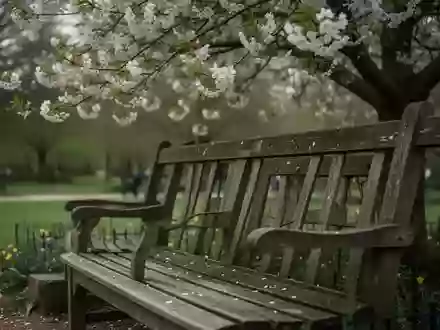 Symbolbild: Parkbank unter einem blĂĽhenden Baum - Foto: ĂĽber boerse-global.de