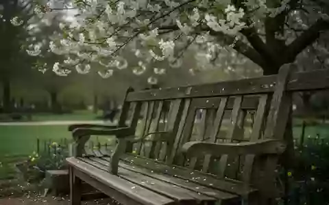 Symbolbild: Parkbank unter einem blühenden Baum - Foto: über boerse-global.de
