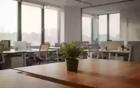 Ein minimalistischer, heller und aufgeräumter Büroarbeitsplatz mit einer einzelnen Pflanze in einer ruhigen Atmosphäre. - Foto: über boerse-global.de