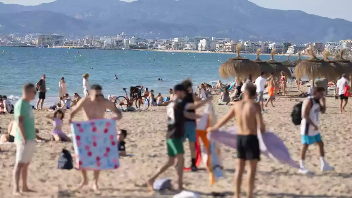 «Sobald wir auf der Insel landen, fühlt es sich an wie nach Hause kommen.» - Bild: Clara Margais/dpa