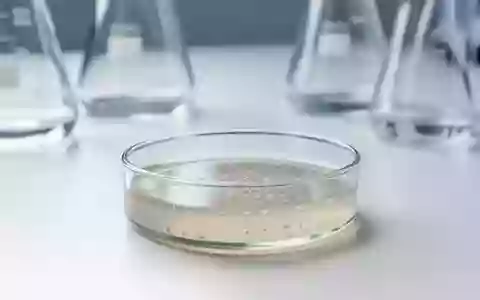 Eine saubere Petrischale mit Nährboden in einer wissenschaftlichen Laborumgebung bei gedämpftem Licht. - Foto: über boerse-global.de