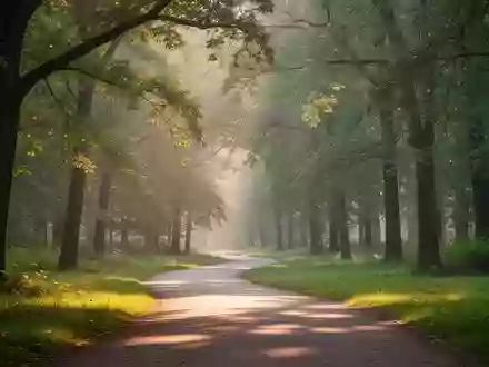 Ein von der Morgensonne beleuchteter Waldweg in einem ruhigen Park. - Foto: über boerse-global.de