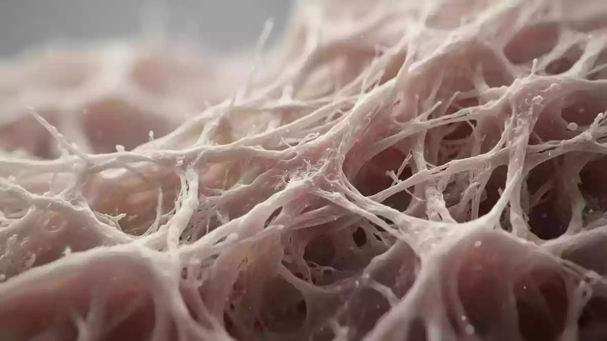 Nahrungsergänzung bei Arthrose: Studienlage zu Wirkung und Grenzen