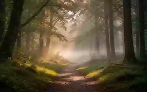 Ein sonnendurchfluteter Waldweg in der Morgendämmerung, der Ruhe und körperliche Aktivität in der Natur symbolisiert. - Foto: über boerse-global.de