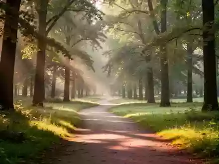Ein sonniger Waldweg in einem Park, der zu Bewegung und körperlicher Aktivität einlädt. - Foto: über boerse-global.de